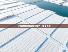 江苏鲲鹏队展现强大实力，跻身榜首