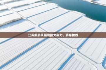 江苏鲲鹏队展现强大实力，跻身榜首