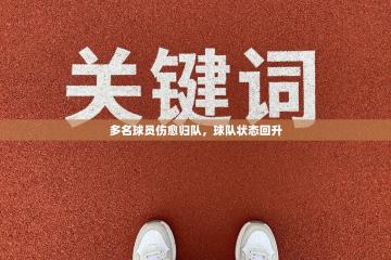 多名球员伤愈归队，球队状态回升