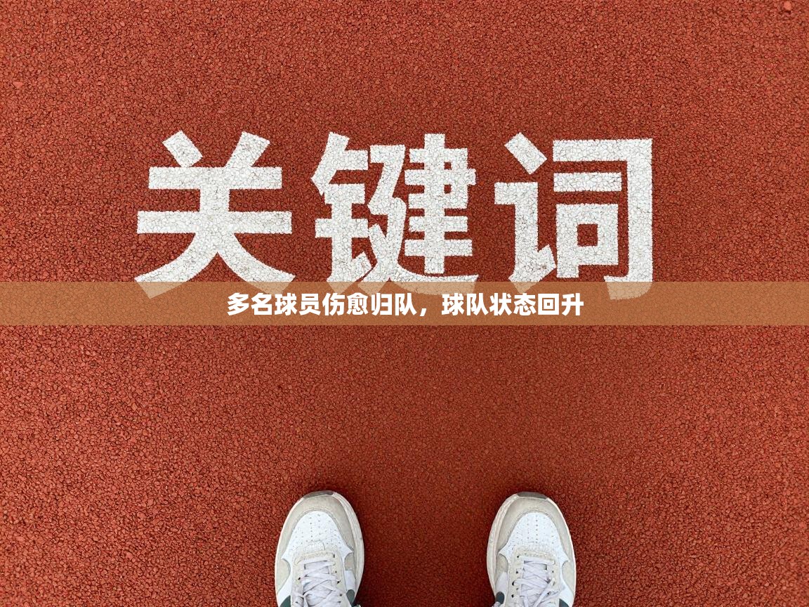 多名球员伤愈归队，球队状态回升  第1张
