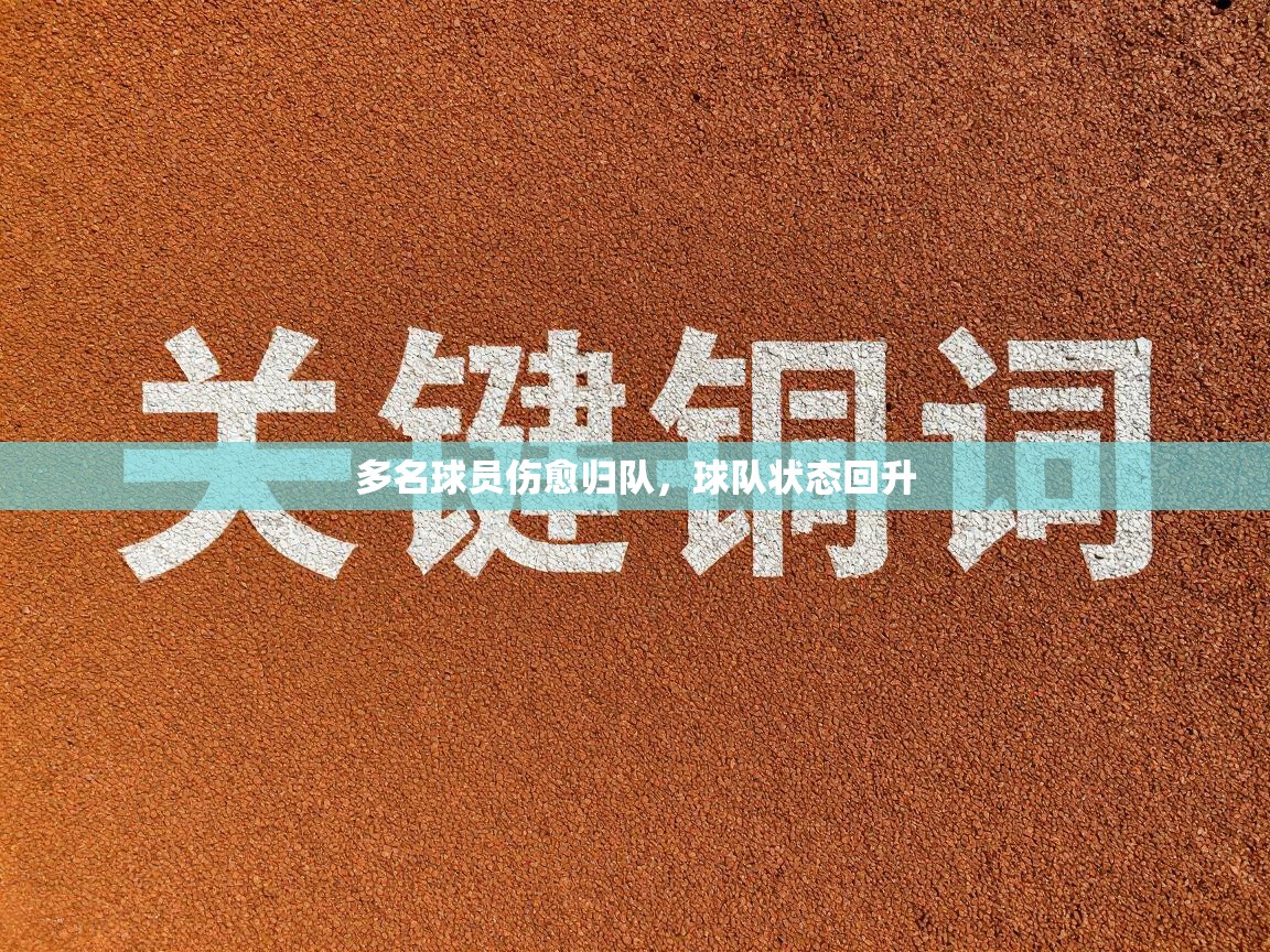 多名球员伤愈归队，球队状态回升  第2张