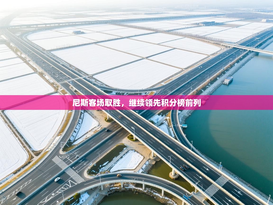 尼斯客场取胜,继续领先积分榜前列 第1张