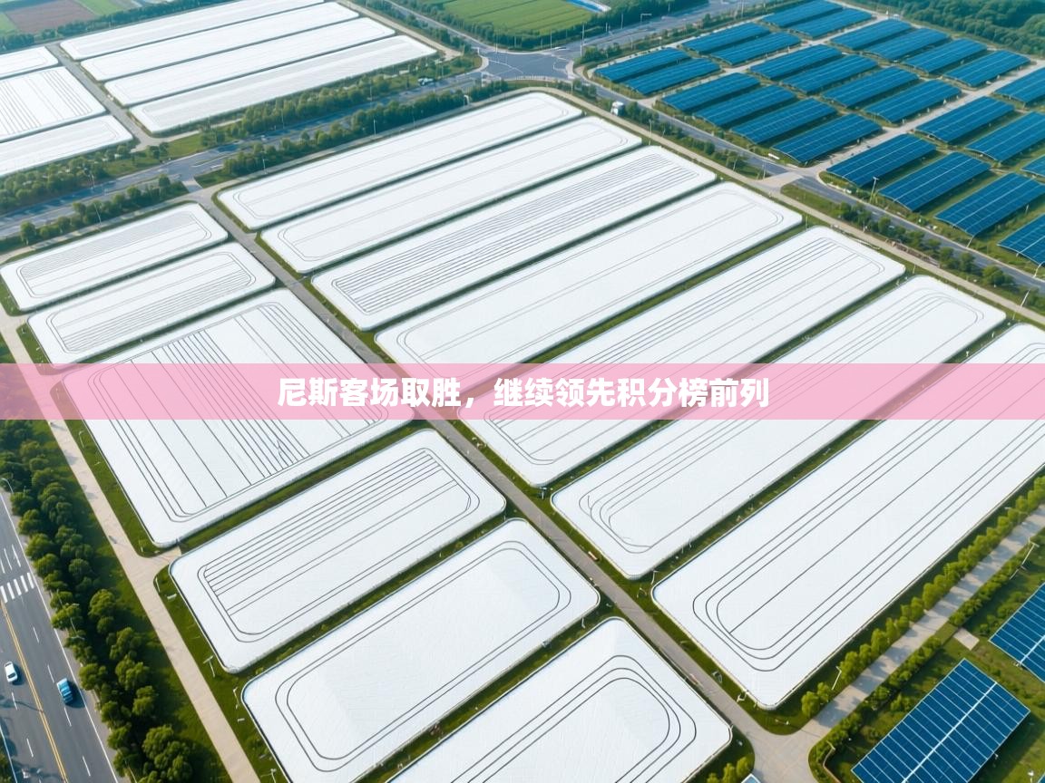 尼斯客场取胜,继续领先积分榜前列 第2张