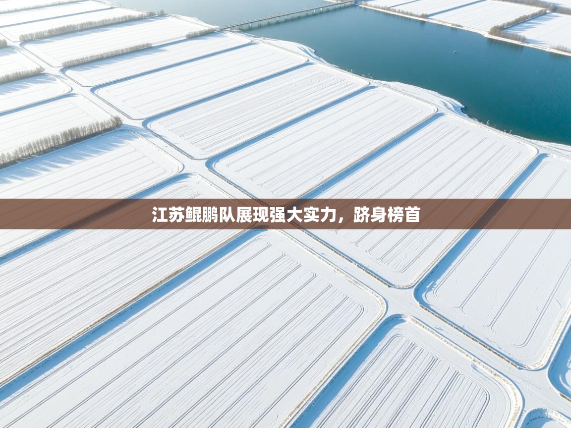 江苏鲲鹏队展现强大实力,跻身榜首 第1张