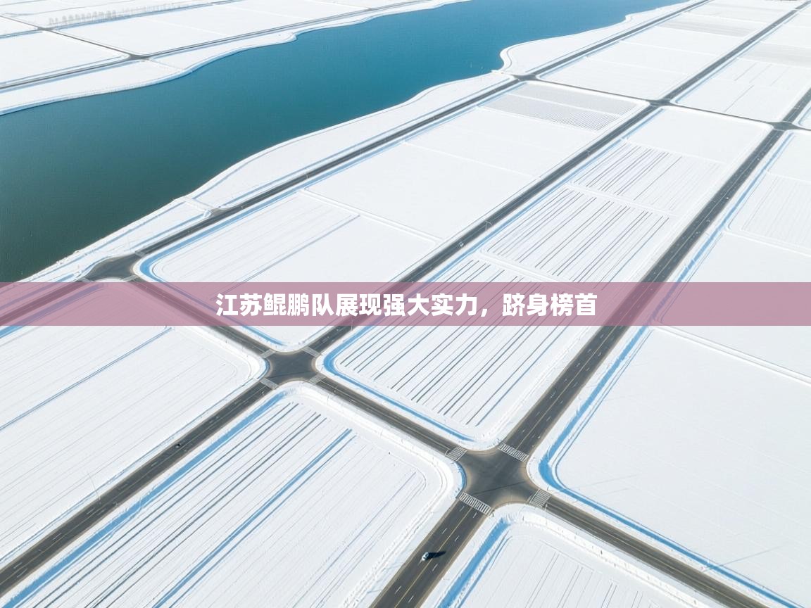 江苏鲲鹏队展现强大实力,跻身榜首 第2张